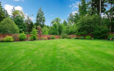 A Guide to Subdividing Your Land